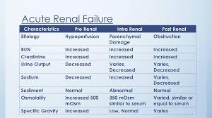 What is renal failure and why does it happen? Acute Renal Failure Ian Van V Sumagaysay Man Rn College Of Nursing Ppt Download