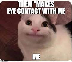 Maybe you would like to learn more about one of these? Polite Cat Memes Imgflip