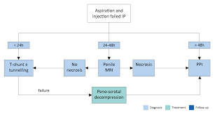 Image result for Priapism