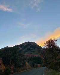 day 5! #hairtutorial #hairideas #hairinspo