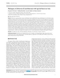 Image result for Zehneria tridactyla