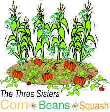 Maybe you would like to learn more about one of these? Three Sisters Garden Companion Planting Growing Corn Companion Gardening