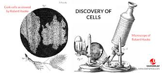 Check spelling or type a new query. Discovery Of Cells Robert Hooke Discovered Units Of Life