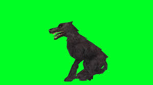 A ghost of slytherin house who continues to haunt hogwarts. Sirius Black Black Dog Animated Right Harry Potter Chroma Youtube
