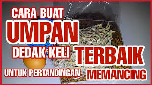 Bicara soal umpan, apa sih umpan ikan lele liar, kolam harian dan kolam galatama yang paling jitu? Cara Buat Umpan Dedak Keli Pertandingan Youtube