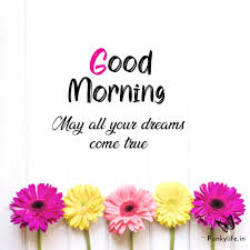 We did not find results for: 250 Good Morning Images Pictures Beautiful Morning Wishes 2021