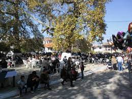 Παρατηρήσεις από το μεγαλύτερο δίκτυο μετεωρολογικών σταθμων. Dasos Libadioy 8essalonikhs Alekath Botana Manitaria Trofh 8erapeies Syntages Kalliergeia