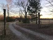 Royal Berry Farm - Hipcamp in Royal, Arkansas