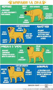 Pin En Perros
