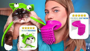 Come with me to organize my dolls in the shelf!