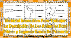 Interactivo de animales para preescolar. Material Interactivo Para Trabajar La Descripcion De Los Animales Para Primer Y Segundo Grado De Primaria Material Educativo