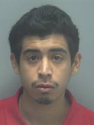 Lee County Arrests 7/7