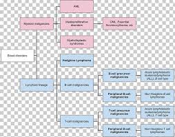 While it can occur at any age, most people who develop the illness are older adults. Diagram Hodgkin S Lymphoma B Cell Lymphoma Non Hodgkin Lymphoma Png Clipart Free Png Download