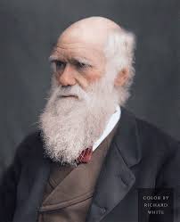 An 1877 photograph of famous English naturalist, biologist and geologist,  Charles Darwin. He was 68 years old at the time. Credit:…