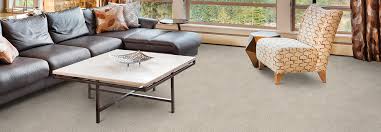 Stainmaster has introduced carpeting that fights pets stains and stands up to scrubbing away pet messes. Carpet And Cushion Ted S Floor Covering Albany Ny Albany Ny Ted S Floor Covering