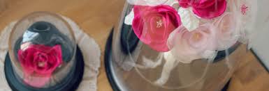 Découvre notre vraie rose éternelle sous cloche qui est stabilisée par un procédé naturel et technique, car on lui injecte une substance conservatrice pour ne pas qu'elle perd de sa beauté. Des Roses Sous Cloche Qui Ne Fanent Pas