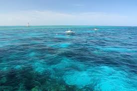 102601 overseas highway (mm 102.5) key largo, fl 33037 / p.o. Beaches In The Florida Keys That You Ll Love