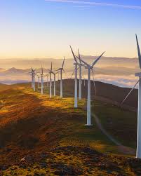 Our goal is to produce the finest quality saint bernards and newfoundlands. Energy Jobline Energy Jobs And Engineering Jobs Worldwide