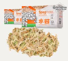Alibaba.com offers 2,190 sphagnum moss products. Sphagnum Spagmoss 150g 12 Liter Halfpressed Currlin Orchideen
