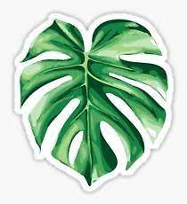 Check spelling or type a new query. Green Aesthetic Leaf Sticker By Mays Stickers Redbubble