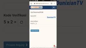 Cara Cek Nik Ktp Penerima Bantuan Bpum Di Bank Bri Secara Online Youtube