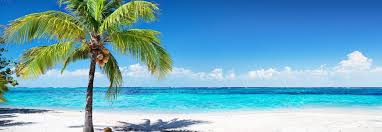 From 858 condo and apartment rentals to 327 villa rentals, find a unique house rental for you to enjoy. Aruba Urlaub Die Besten Angebote Urlaubsguru