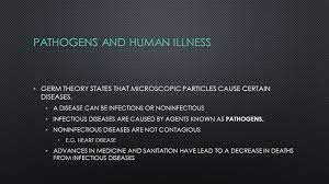 Which Of The Following Statements Best Describes The Relationships Among Possible Environmental Influences The P53 Gene And Cancer A Environmental Ppt Download