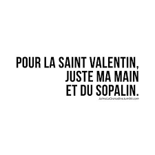 Diaporama 'saint valentin humour', de l'auteur yv. J Aime La Grenadine Citation Saint Valentin Humour Saint Valentin Celibataire Citation