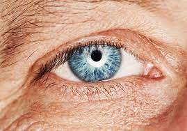Cheap eyelid tools, buy quality beauty & health directly from china suppliers:meibomian glands eyelid massage tweezers eyelid flip eyelid tweezers clip meibomian gland blockage dredge fat. What Is Floppy Eyelid Syndrome And How Is It Related To Sleep Apnea Advanced Sleep Medicine Services Inc