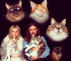 30 Cutest Celebrity Cats