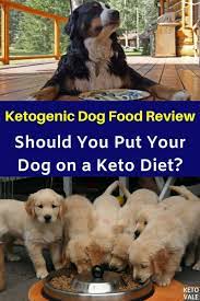 Pin On Keto Diet Tips