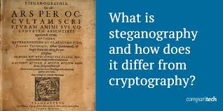 Image result for Steganography
