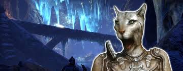 Игры на пк » экшены » the elder scrolls 5 skyrim legendary edition. Eso Und Skyrim Episches Video Vergleicht Beide Spiele