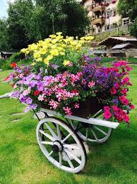 Nermin Kakus Nermin Kakus There S No Time Like The Current To Create The Most Out Of Our Open In 2020 Pflanzen Garten Anpflanzen Garten Pflanzen