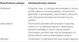 Fibers and occurs primarily as a result of occupational exposure. Frontiers The Use Of Immunohistochemistry Fluorescence In Situ Hybridization And Emerging Epigenetic Markers In The Diagnosis Of Malignant Pleural Mesothelioma Mpm A Review Oncology