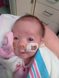 Baby Coco starting to play a little. Her red blood cell count remains low  but she is otherwise very slowly improving❤️