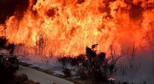 Es el peor de los 15 incendios activos que hay en el país y ya. Portugal Libra Ola De Incendios Con Un Saldo De 114 Personas Muertas Economiahoy Mx