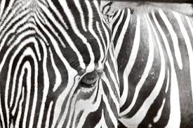 Regression And Linear Modeling Best Practices And Modern Methods Linear Regression For Machine Learning