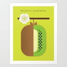 Christopher Dina's Store