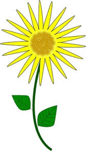 A beautiful flower drawing or flower doodle is a simple but effective way to make your bullet journal pages look amazing. Vector Sunflower Drawing Line Free Vector Download 100 753 Free Vector For Commercial Use Format Ai Eps Cdr Svg Vector Illustration Graphic Art Design Sort By Newest Relevant First