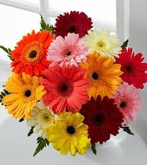 I Prefer Flowers These Flowers Yeah A Girl Likes Roses But The Key To My Heart Is Daisies Gerbera Daisy Bouquet Gerbera Daisy Daisy Bouquet