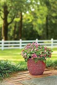 Maybe you would like to learn more about one of these? 30 Heat Tolerant Container Gardens For Summer Southern Living