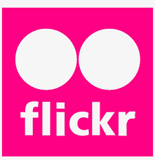 Download flickr vector icon in eps, svg, png and jpg file formats. High Quality Flickr Logo Flickr Icon Vector Png 1200x1203 Png Download Pngkit