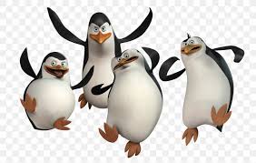 Penguins of madagascar is the name of a group of penguins from the movie madagascar, as well the movie was also titled penguins of madagascar, and it was released on november 26th, 2014, to. Penguin Madagascar Dreamworks Animation Desktop Wallpaper Film Png 1600x1017px Penguin Animation Beak Benedict Cumberbatch Bird Download