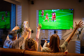 What Premier League Plus Means For Sports Streaming Services And The  Lessons Learnt From The WWE Network