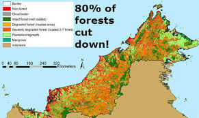With its history of white rajahs, diverse cultures, mighty rivers, rainforests & iconic wildlife, sarawak is a unique destination … view Petition Baru Bian And Pr Sarawak Stop The Deforestation Of Sarawak Borneo Change Org