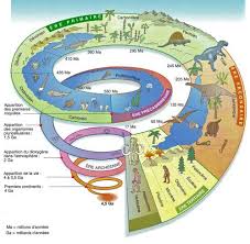 La structure cellulaire doit en revanche être réservée à la classe de sixième. Chapitre 1 La Terre Et Son Fonctionnement Dans Le Systeme Solaire Graine De Svt