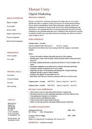 Digital Marketing Resume Internet Example Sample Web Campaign Key Skills Employer Jobs