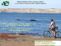Según las evaluaciones del médico policial, habría sufrido un infarto luego de bañarse en cercanías a la playa larralde. Pedaleando Con Las Ballenas Foto Bicicleta Btt