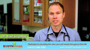 Check spelling or type a new query. Meet The Veterinarians South Park Animal Hospital Youtube